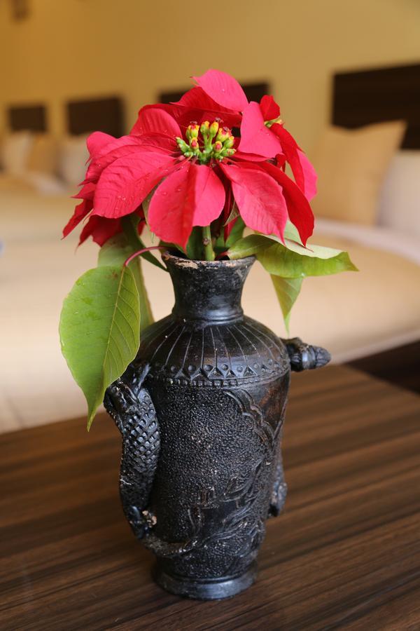Bed And Breakfast Thamel Katmandou Extérieur photo